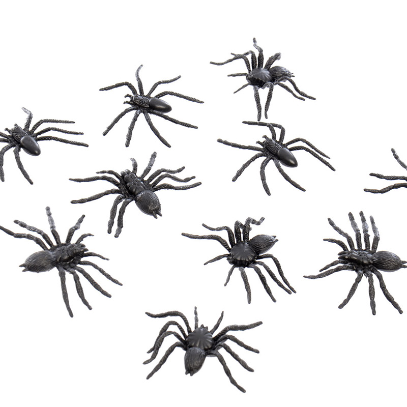 10 petites araignées