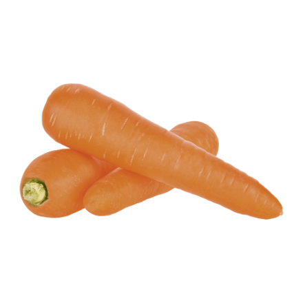 Carottes