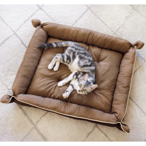Coussin pour chats 2 en 1 “Mickey”...